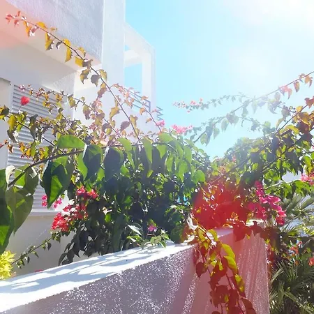 Arto Blanco Lägenhet *